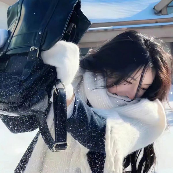 四大名捕重出江湖